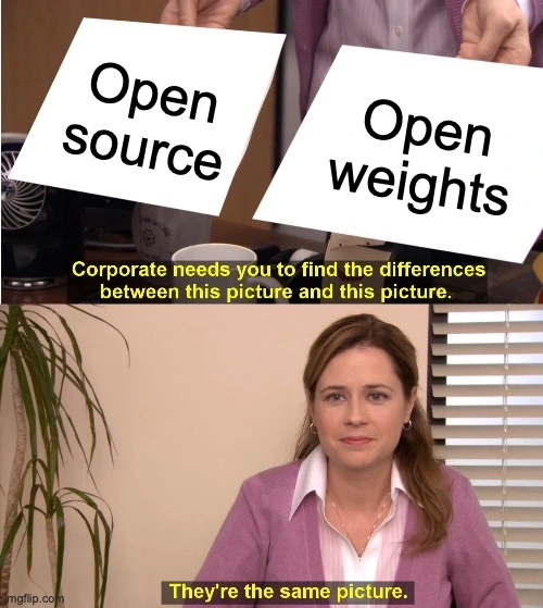 The Office, Pam meme